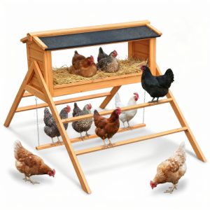 chicken nesting box with asphalt roofing – 3 in 1 coop accessory for happy hens